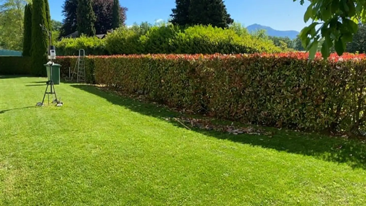 Villa in vendita - I Pré Lunc, 6935 Bosco Luganese - Photo 4