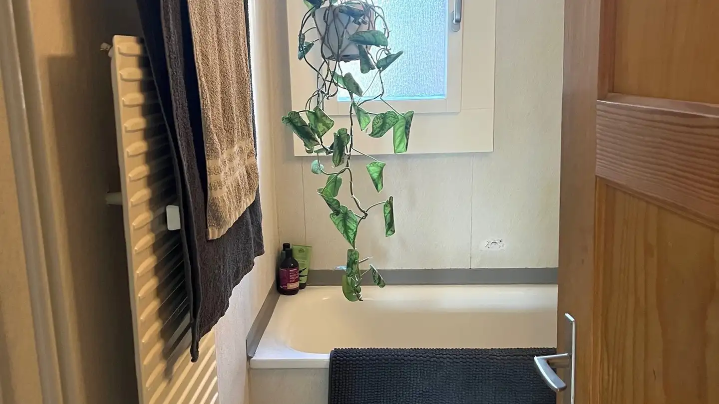 Furnished apartment for rent - 3629 Kiesen - Photo 4