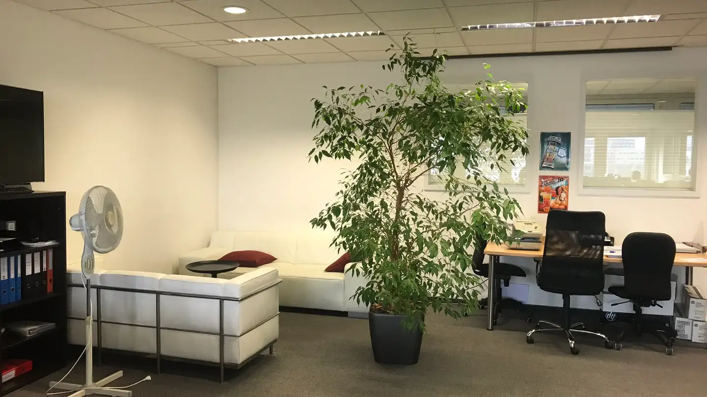 Spazio ufficio in affitto - Lettenstrasse 7, 6343 Rotkreuz - Foto 3