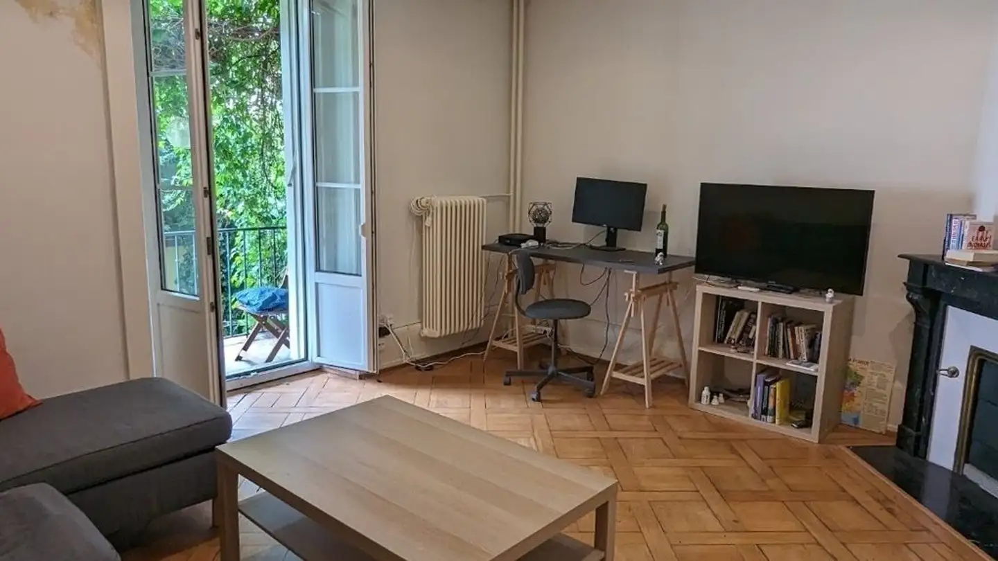 Furnished apartment for rent - Avenue Du Mont-Blanc 10, 1018 Lausanne