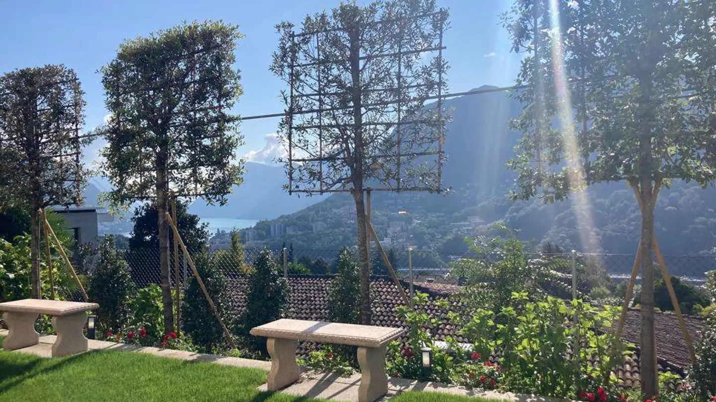 Loft in affitto - 6926 Montagnola - Foto 2