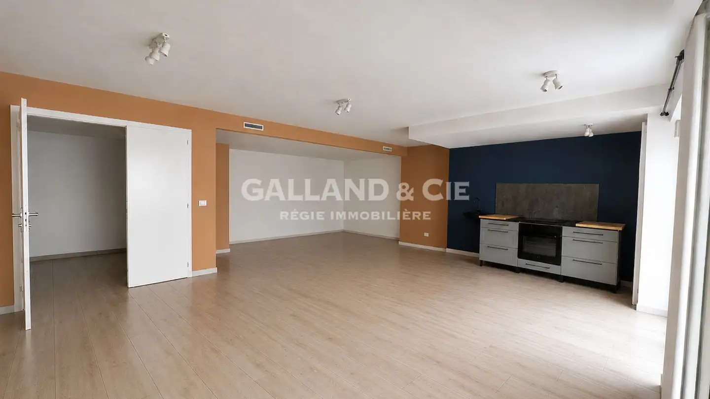 Shop for sale - 1010 Lausanne - Photo 2