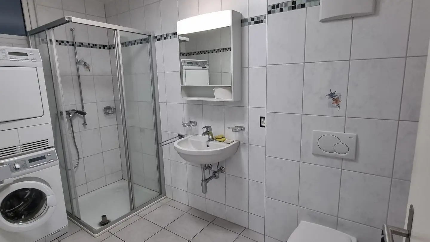 Appartamento in affitto - Rue De Plane-Ville 21, 1955 Chamoson - Foto 2