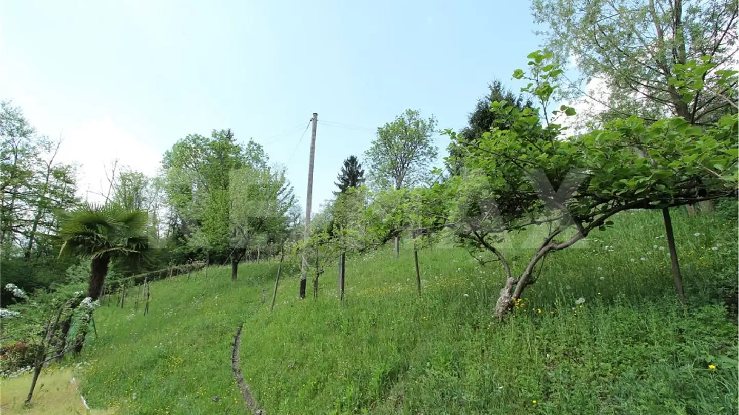 Terreno edificabile in vendita - 6998 Monteggio - Photo 3