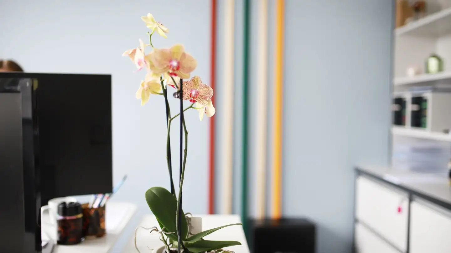 Office space for rent - Lettenstrasse 7, 6343 Rotkreuz