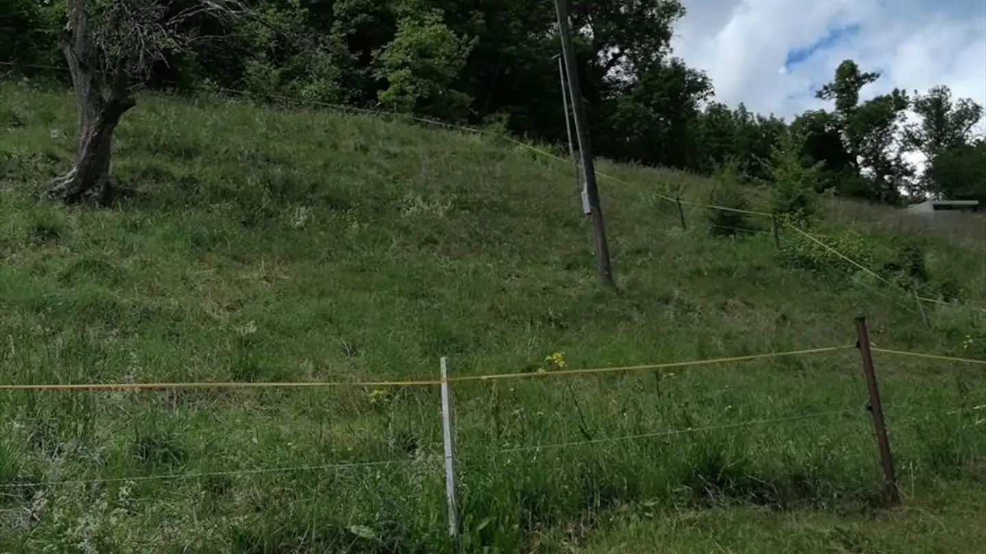 Terreno edificabile in vendita - 1966 Luc (Ayent) - Photo 2