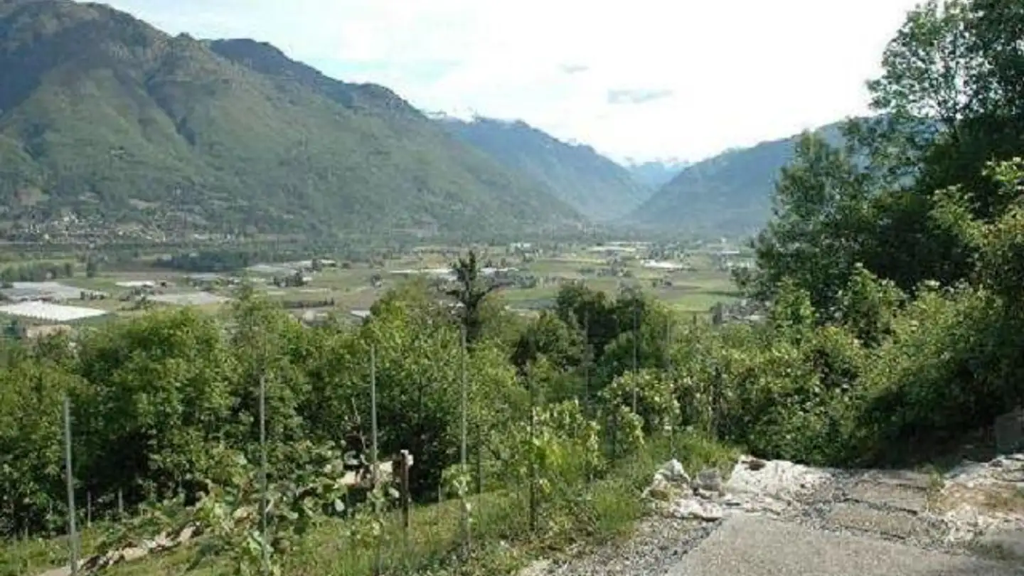 Landwirtschaftsbetrieb kaufen - 6594 Contone - Foto 2