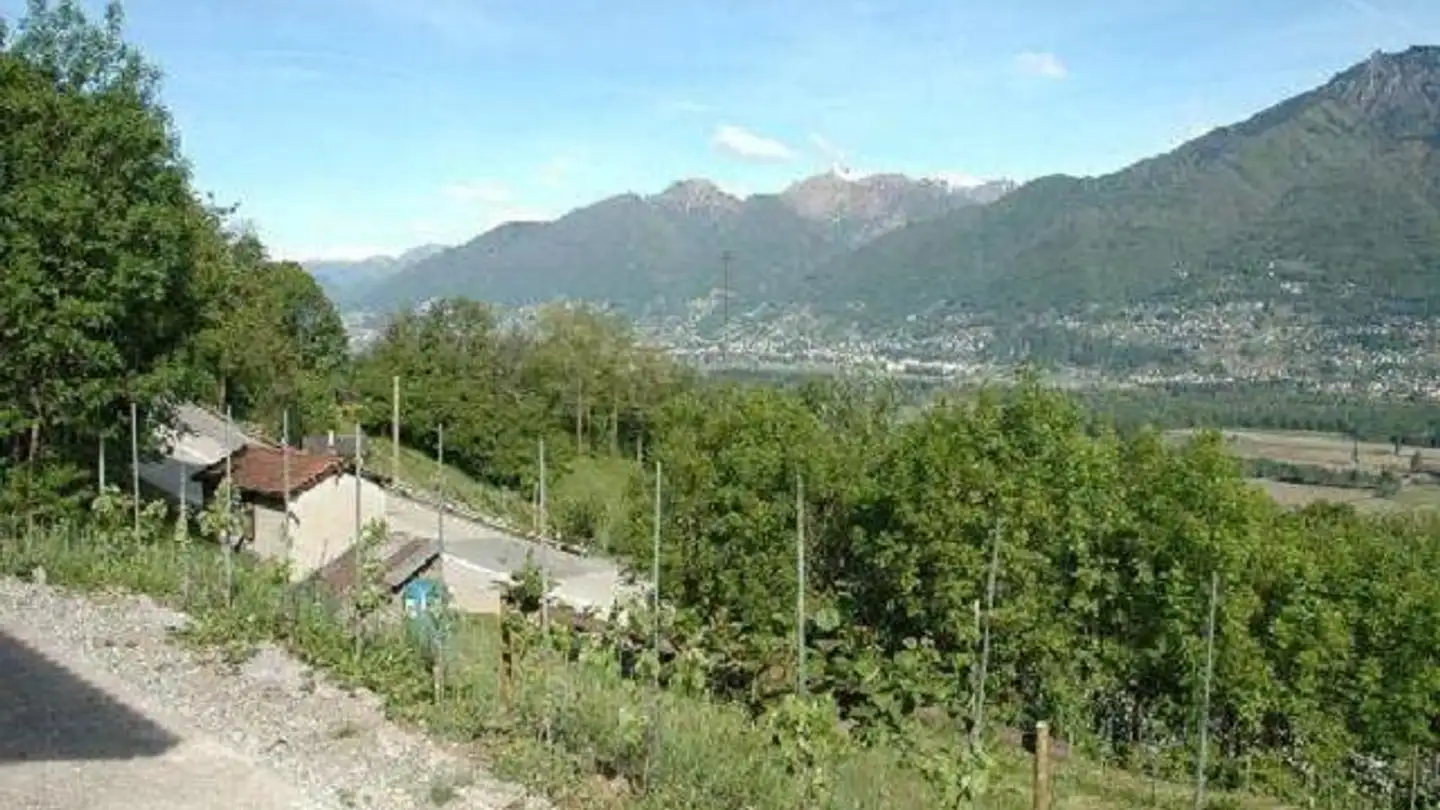 Landwirtschaftsbetrieb kaufen - 6594 Contone - Foto 3