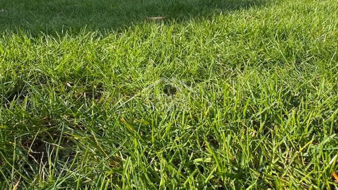 Constructible plot for sale - 4554 Etziken