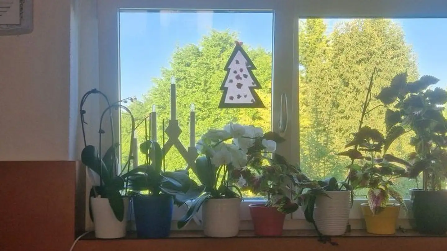 Wohnung mieten - Walperswilstrasse 18, 3270 Aarberg - Foto 4