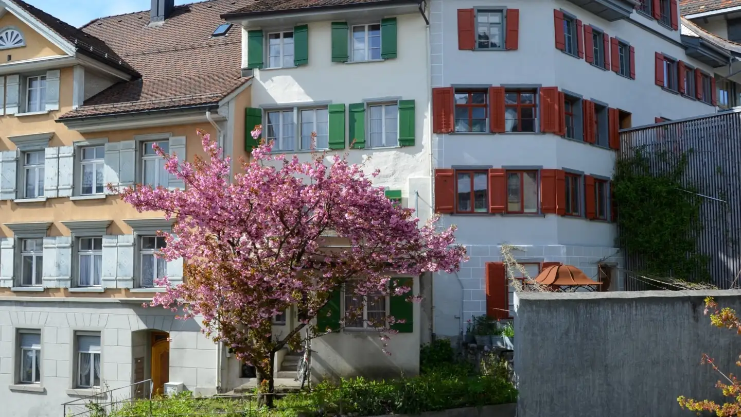 Wohnung mieten - Löwengasse 26, 9620 Lichtensteig