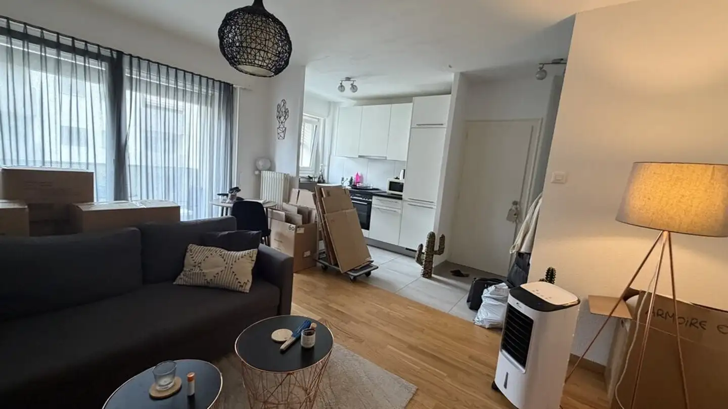 Appartamento in affitto - Avenue D'echallens 102, 1004 Lausanne - Foto 2