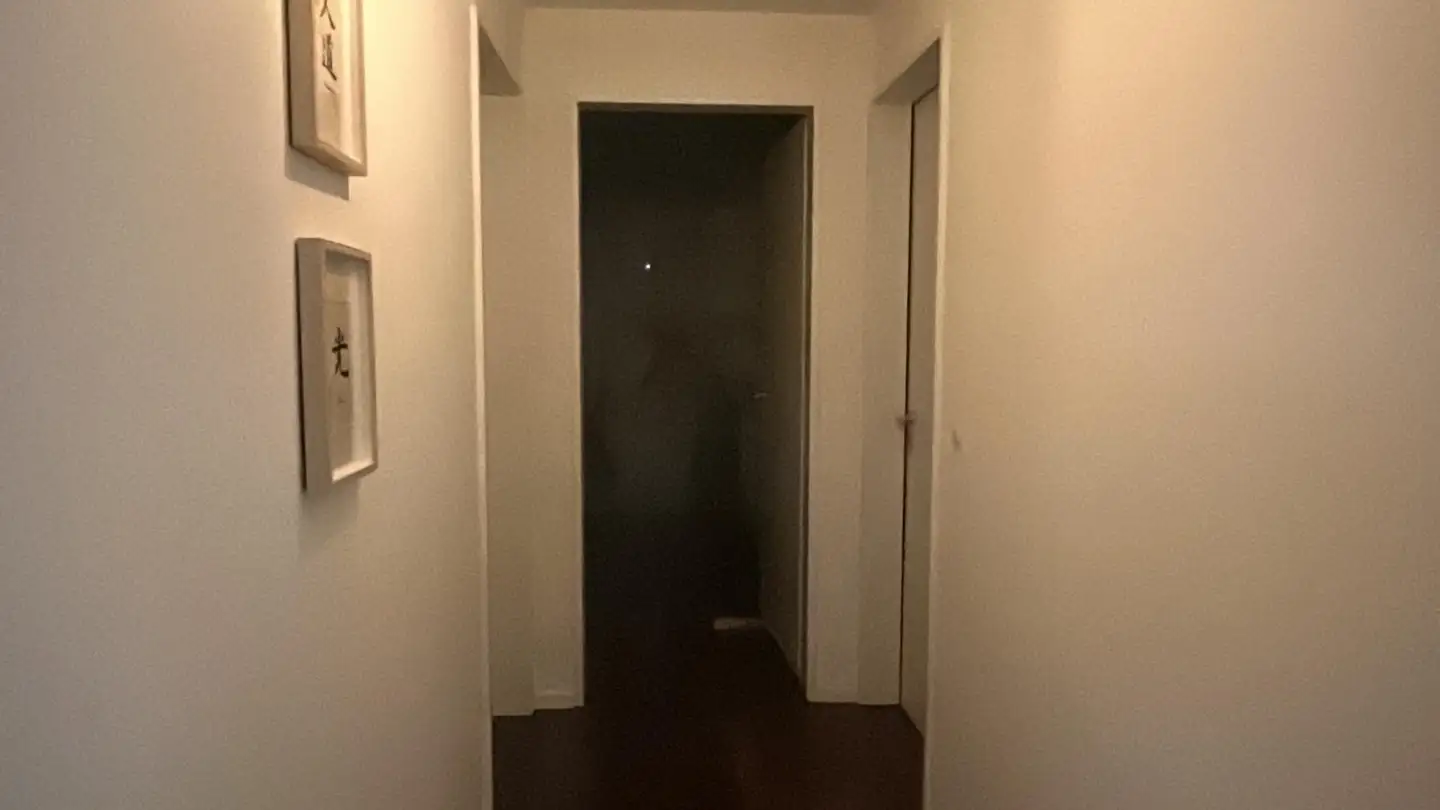 Möblierte Wohnung mieten - 8953 Dietikon