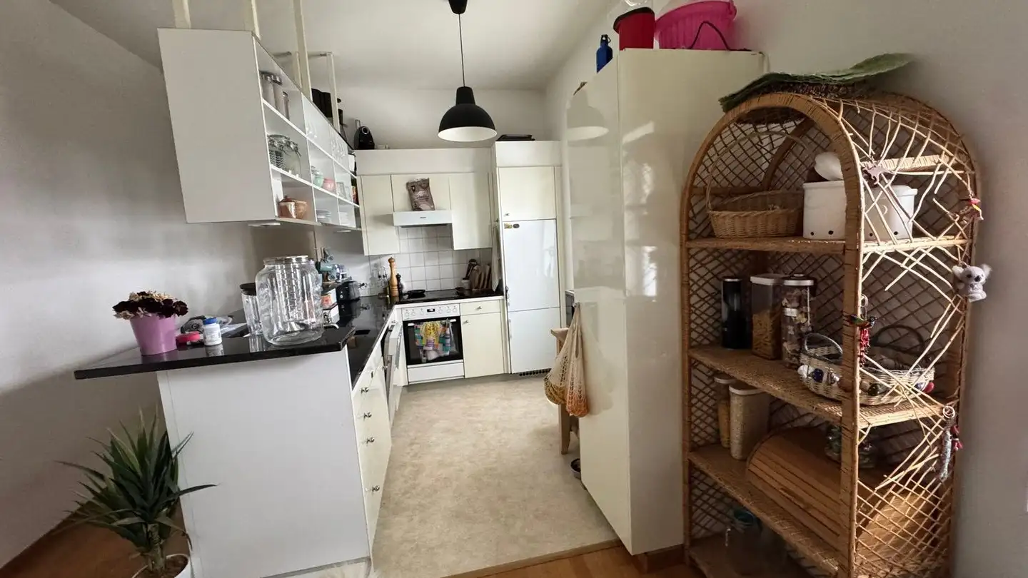 Duplex in affitto - Kleindorf, 8702 Zollikon - Foto 2