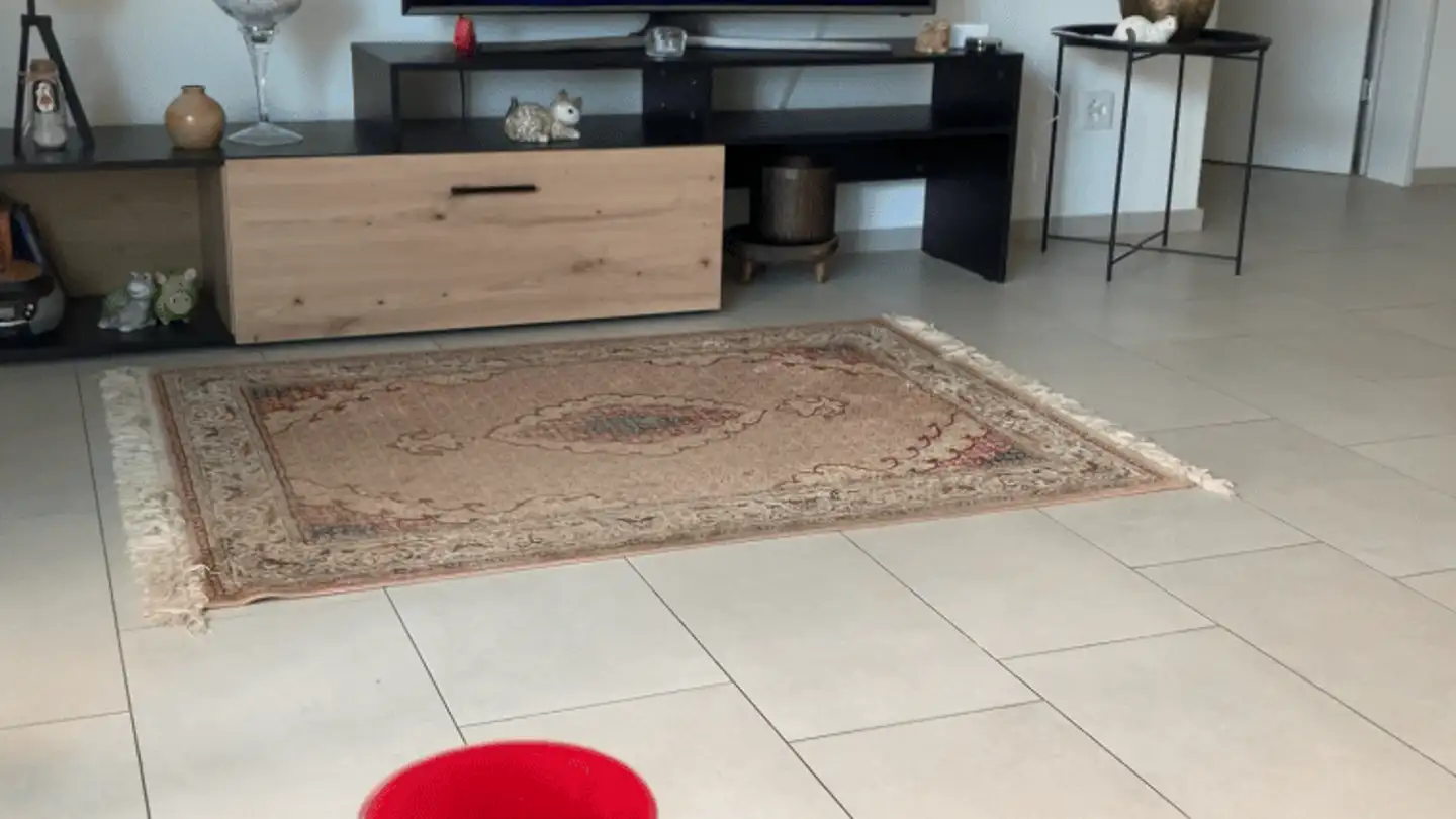 Apartment for rent - Römerstrasse 2, 8856 Tuggen - Photo 3