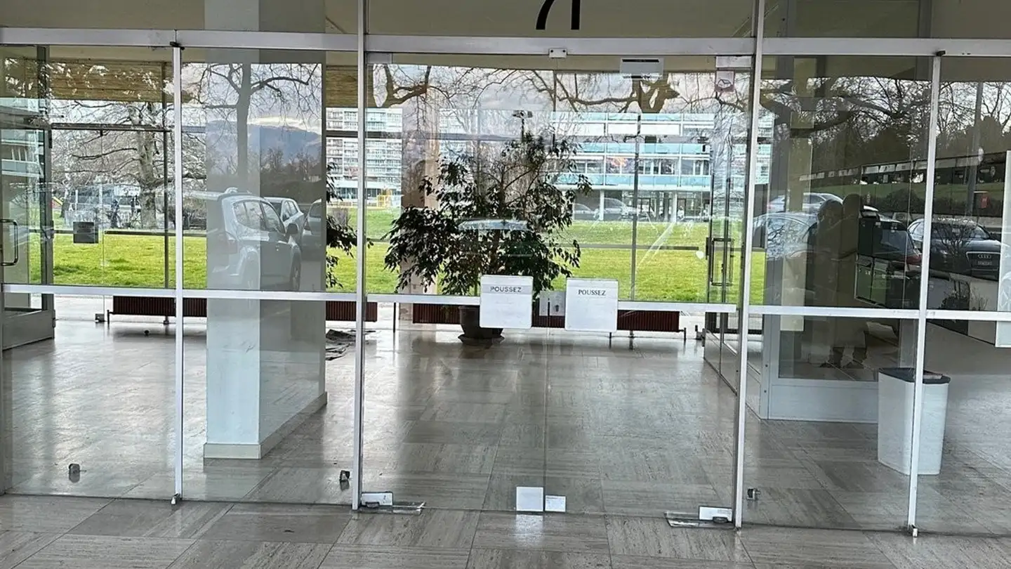 Appartement à louer - Avenue De Mategnin, 1217 Meyrin - Photo 2