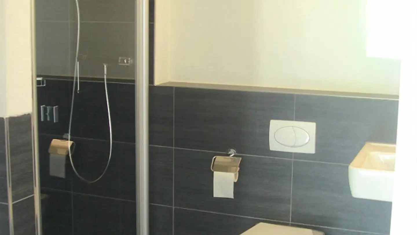 Apartment for rent - Gweerhofstrasse 7, 8853 Lachen SZ - Photo 4