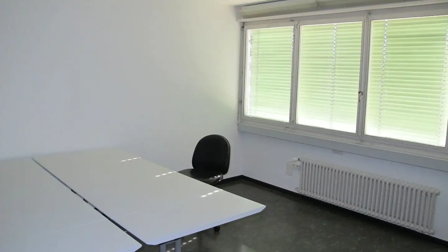 Commercial for rent - Frankfurt-Strasse 54, 4142 Münchenstein - Photo 4