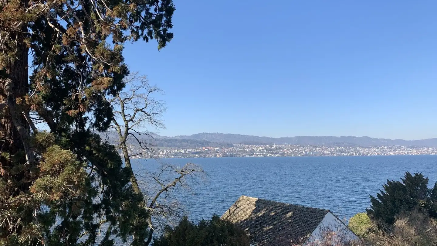 Chambre à louer - Seestrasse 173, 8704 Herrliberg - Photo 4