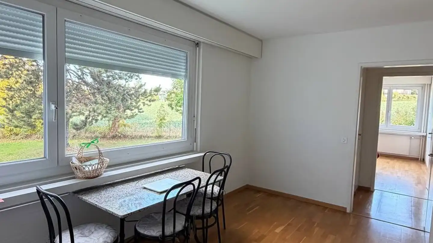 Furnished apartment for rent - 8125 Zollikerberg