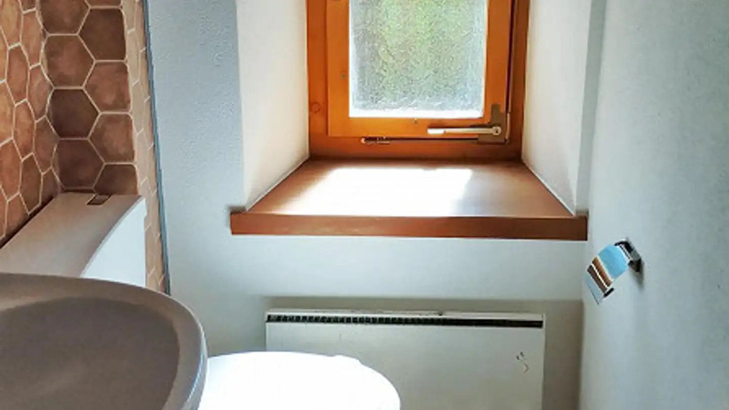 Single house for rent - Campi 4, 7411 Sils im Domleschg - Photo 4