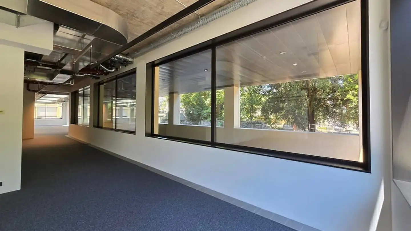 Commercial for sale - 1207 Genève - Photo 4