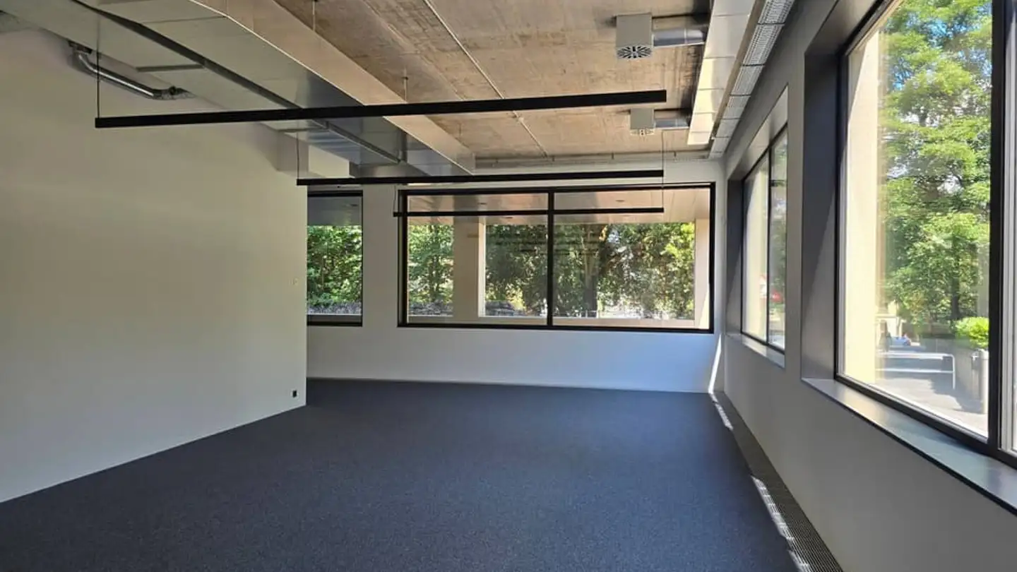 Commercial for sale - 1207 Genève - Photo 2