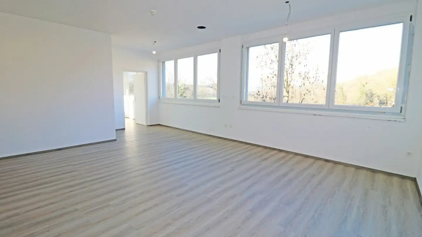 Laboratorio in affitto - Wölferstrasse 31, 4414 Füllinsdorf