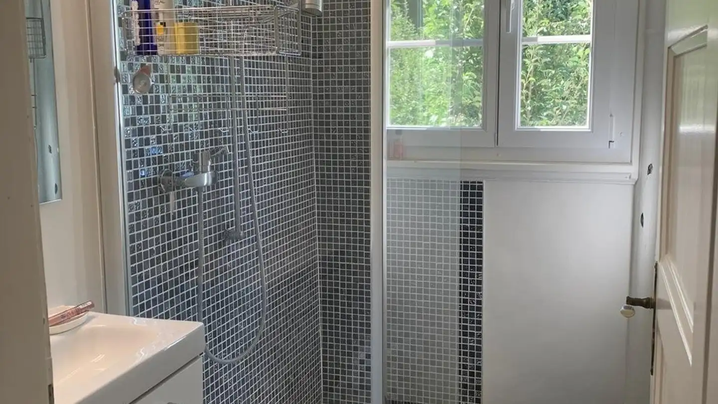 Stanza singola in affitto - 1018 Lausanne - Foto 4