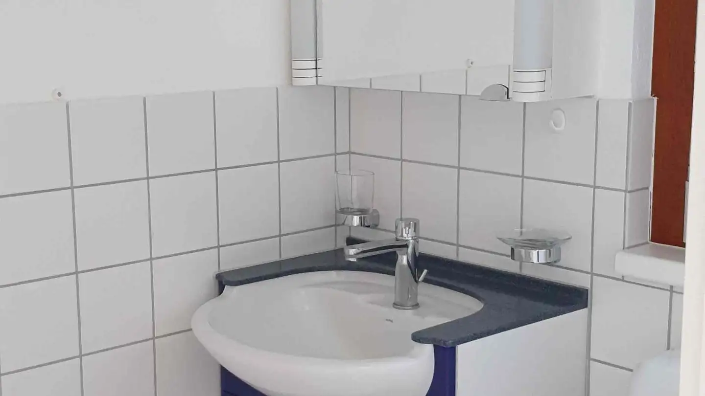 Studio in affitto - Bergweg 4, 5453 Remetschwil - Photo 3