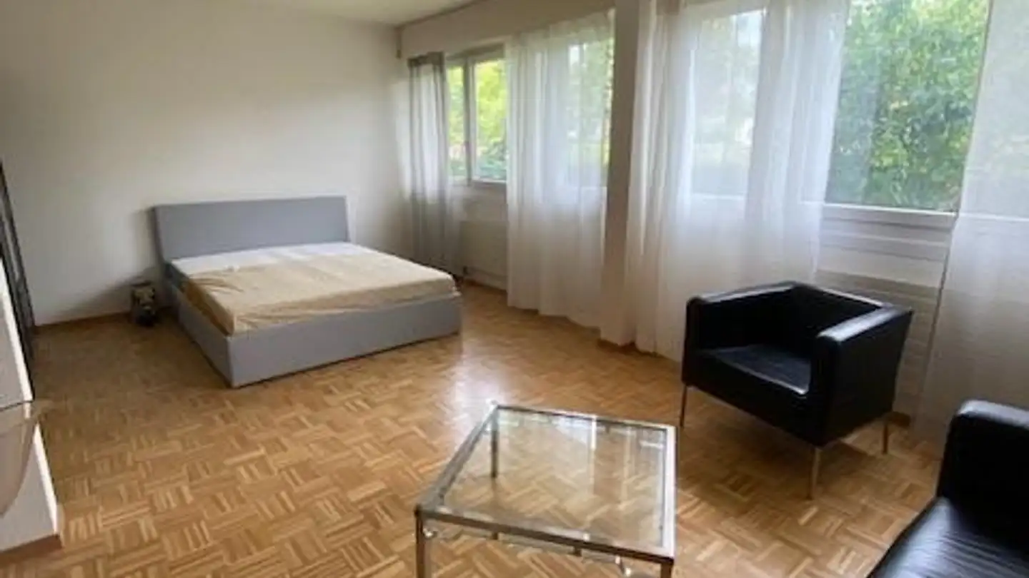 Appartamento ammobiliato in affitto - Chemin Des Coudriers 42, 1209 Genève - Foto 2