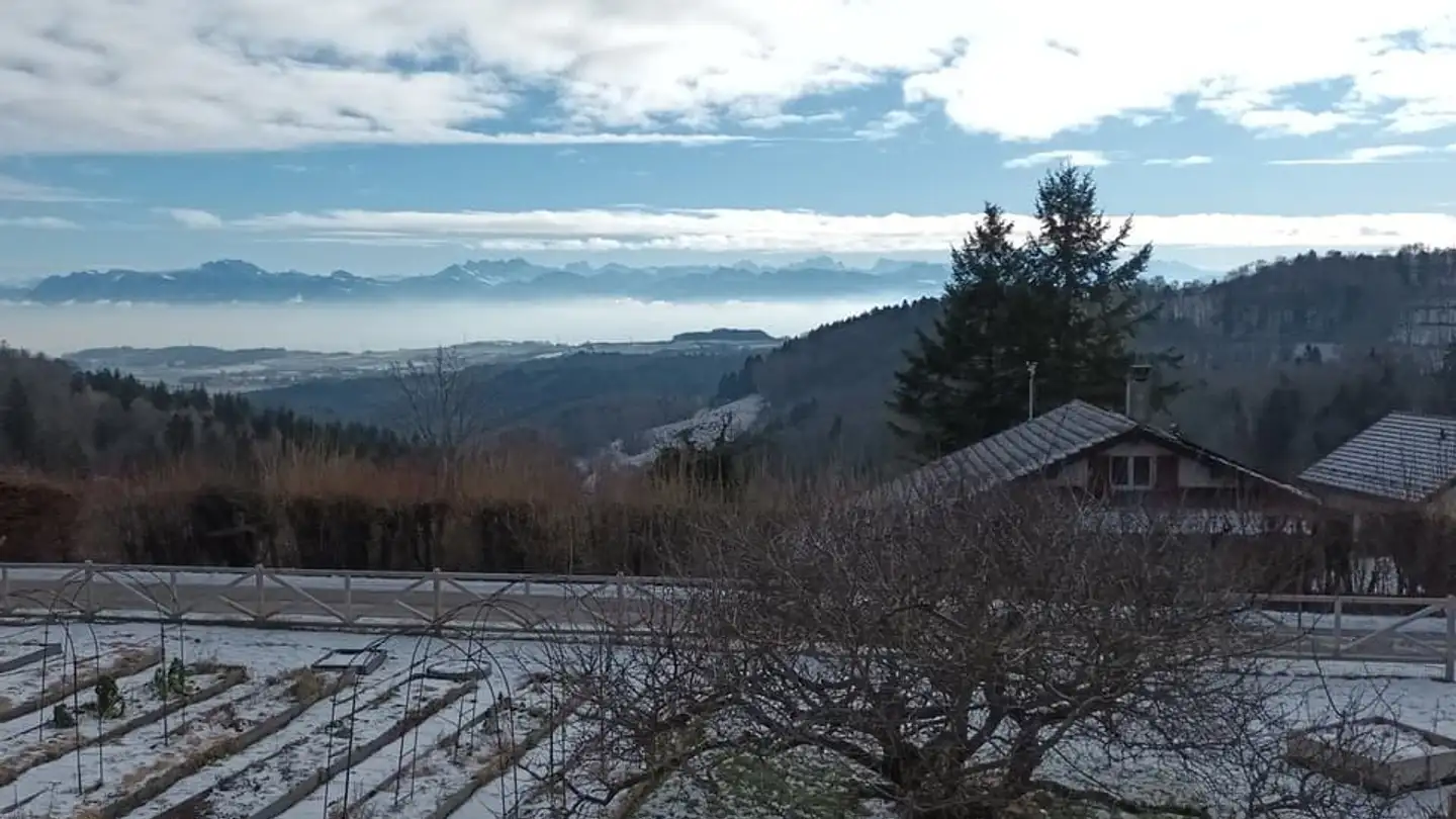 Single house for sale - Route De St-George, 1188 Gimel - Photo 3