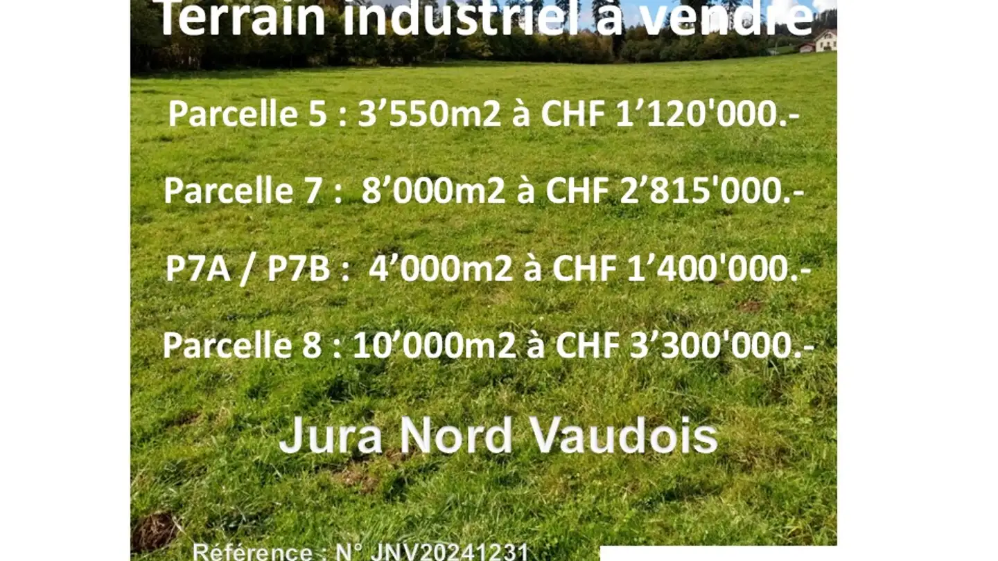 Terreno edificabile commerciale in vendita - 1323 Romainmôtier - Foto 3