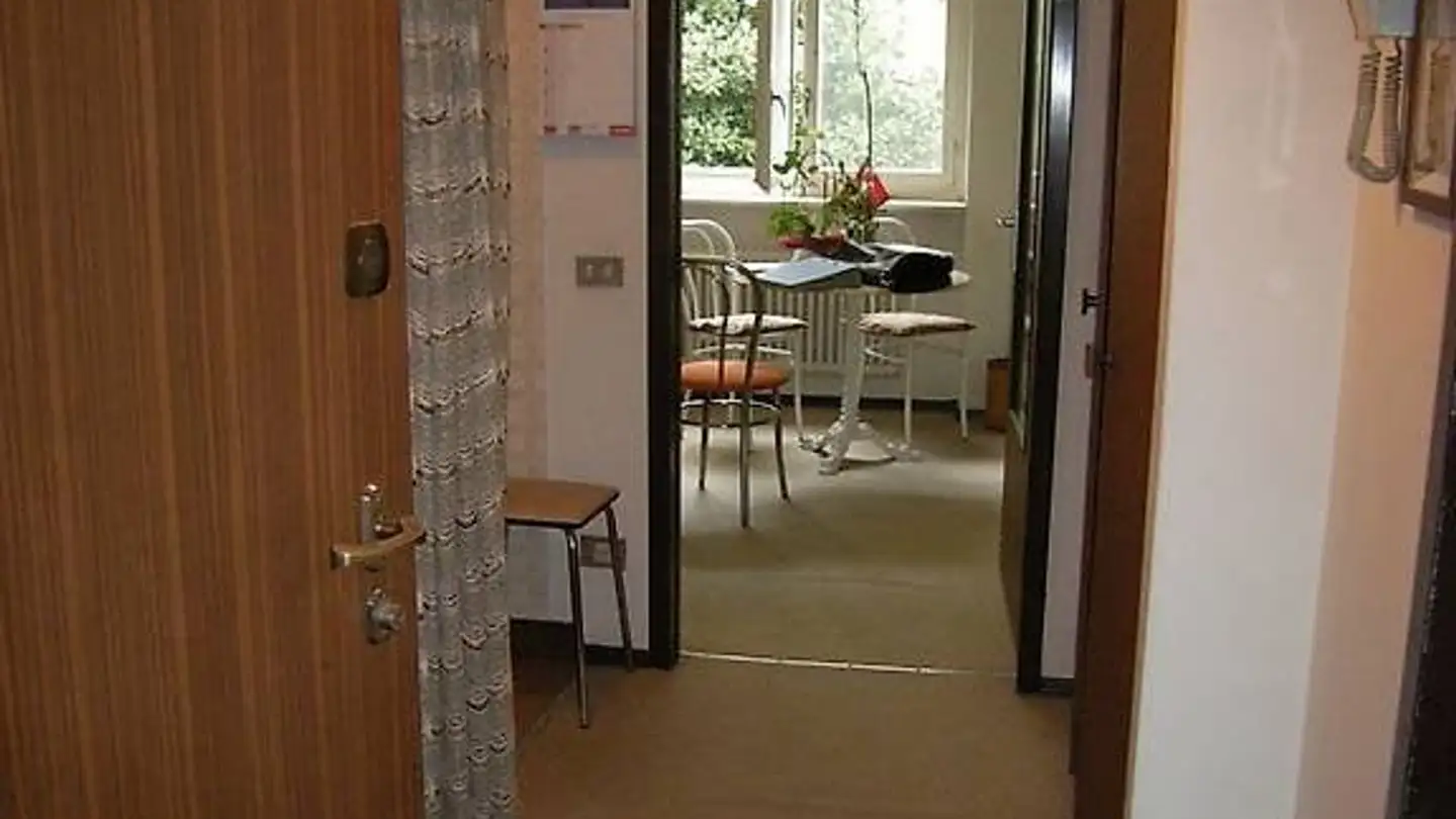 Wohnung mieten - Via Antonio Ciseri, 6900 Lugano - Foto 4