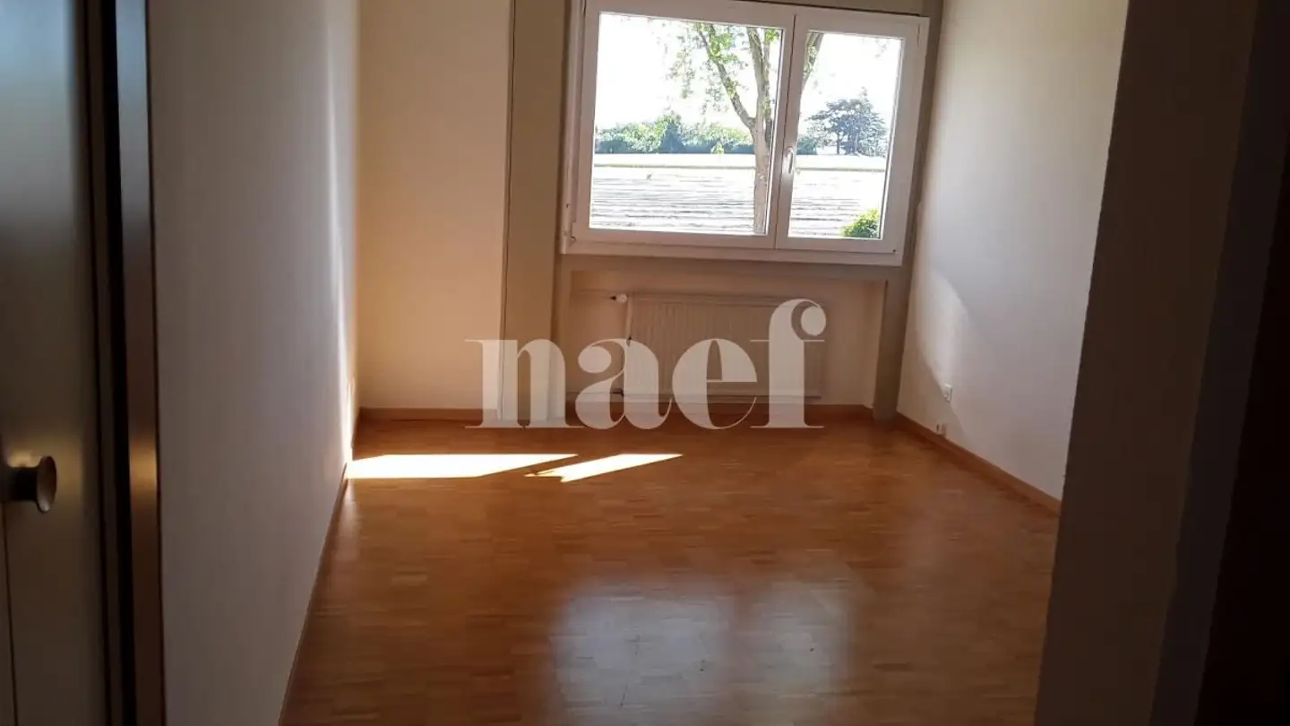Wohnung mieten - Rue Des Lattes 9, 1217 Meyrin - Foto 4