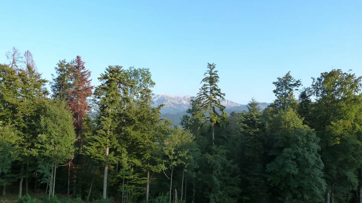 Penthouse for rent - Maltersstrasse 1, 6016 Hellbühl