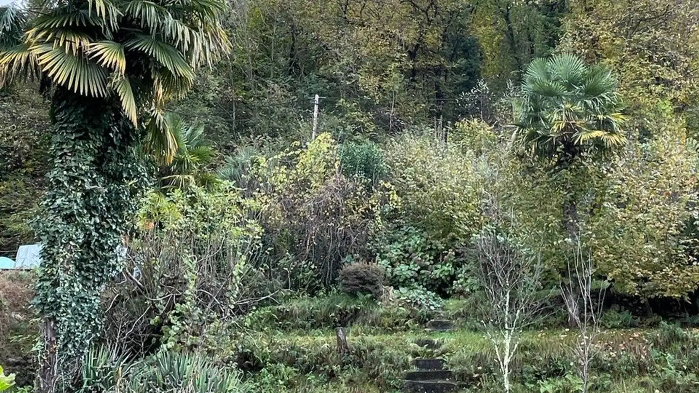 Terreno edificabile in vendita - Via Perimonti, 6576 Gerra (Gambarogno) - Photo 2