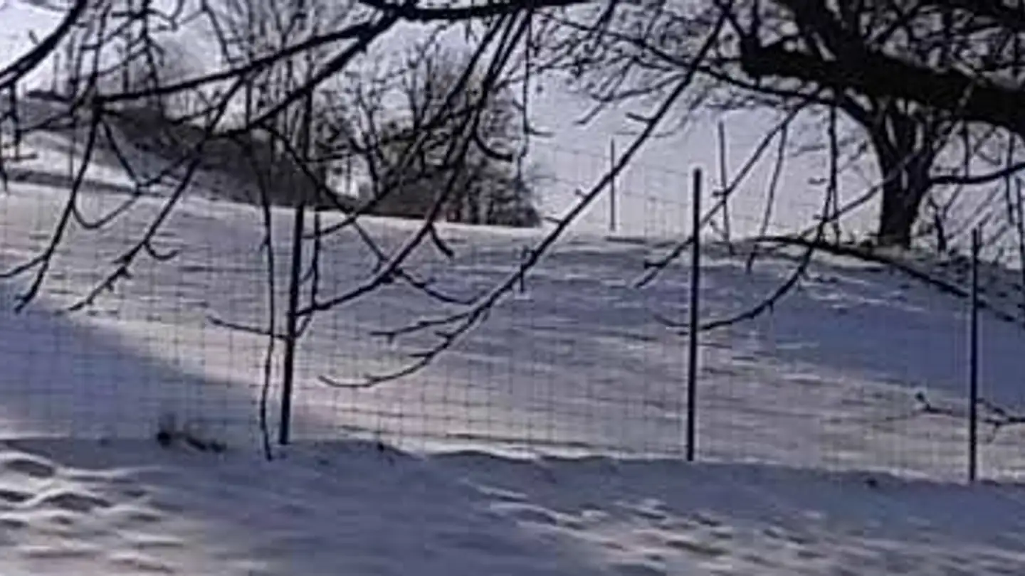 Appartement à louer - Merowingerweg 3, 5079 Zeihen - Photo 3