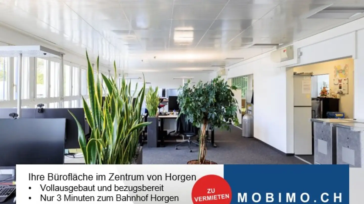 Bürofläche mieten - Seestrasse 80, 8810 Horgen
