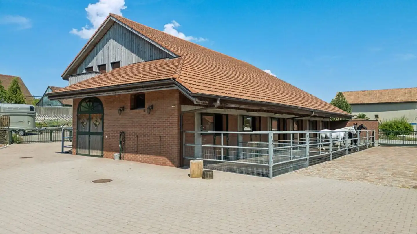 Maneggio in vendita - 4704 Niederbipp - Photo 3