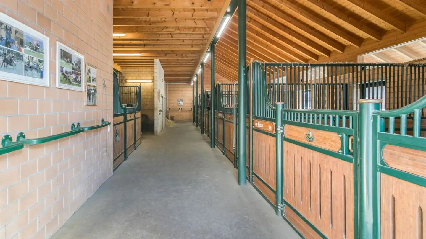 Riding hall for sale - 4704 Niederbipp
