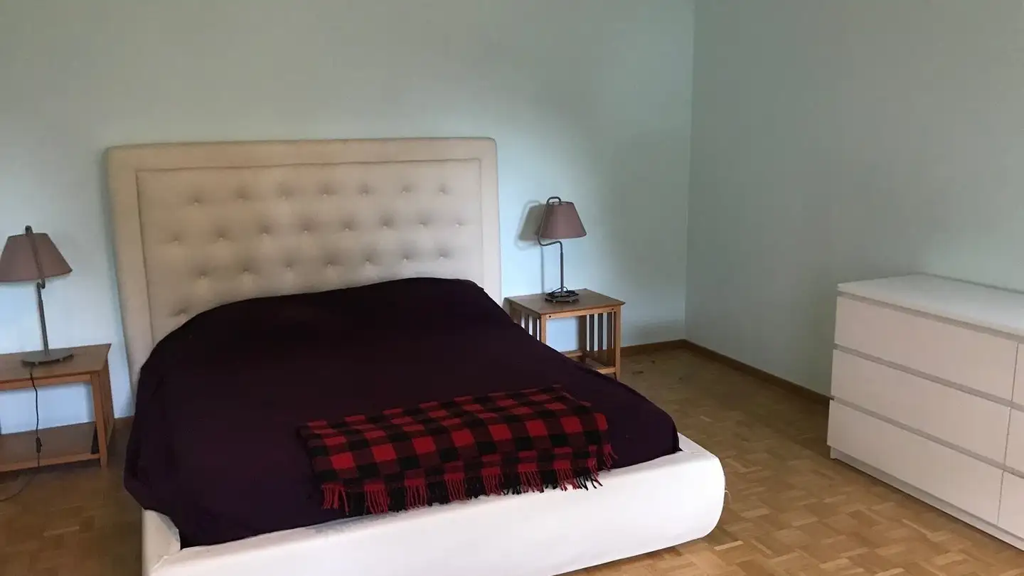 Single room for rent - 6926 Montagnola - Photo 2