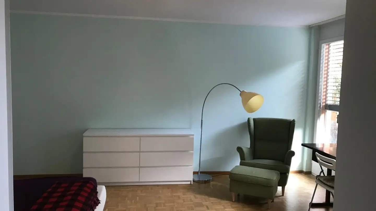 Single room for rent - 6926 Montagnola - Photo 4