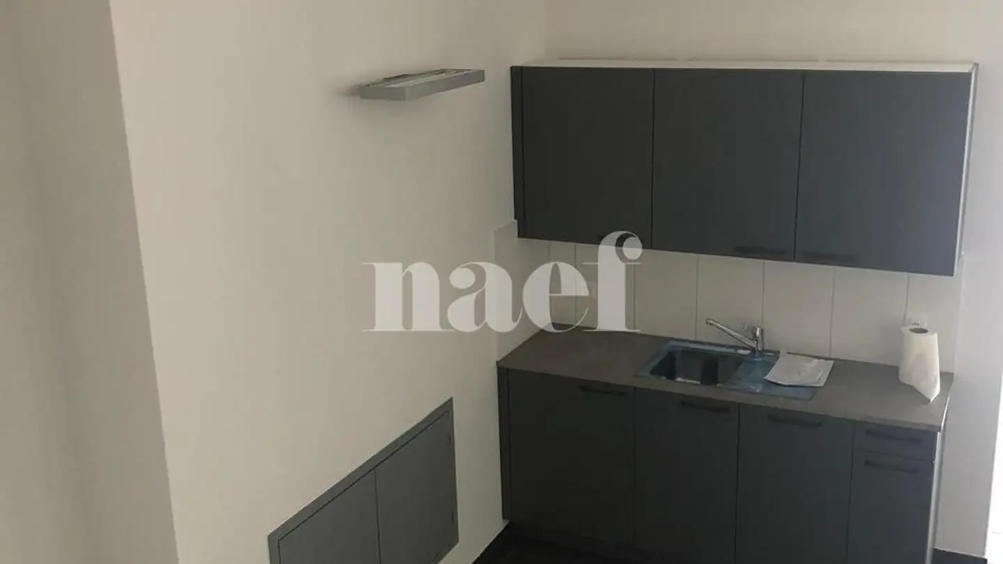 Commerciale in affitto - Route De Soleure 3, 2072 St-Blaise - Photo 4