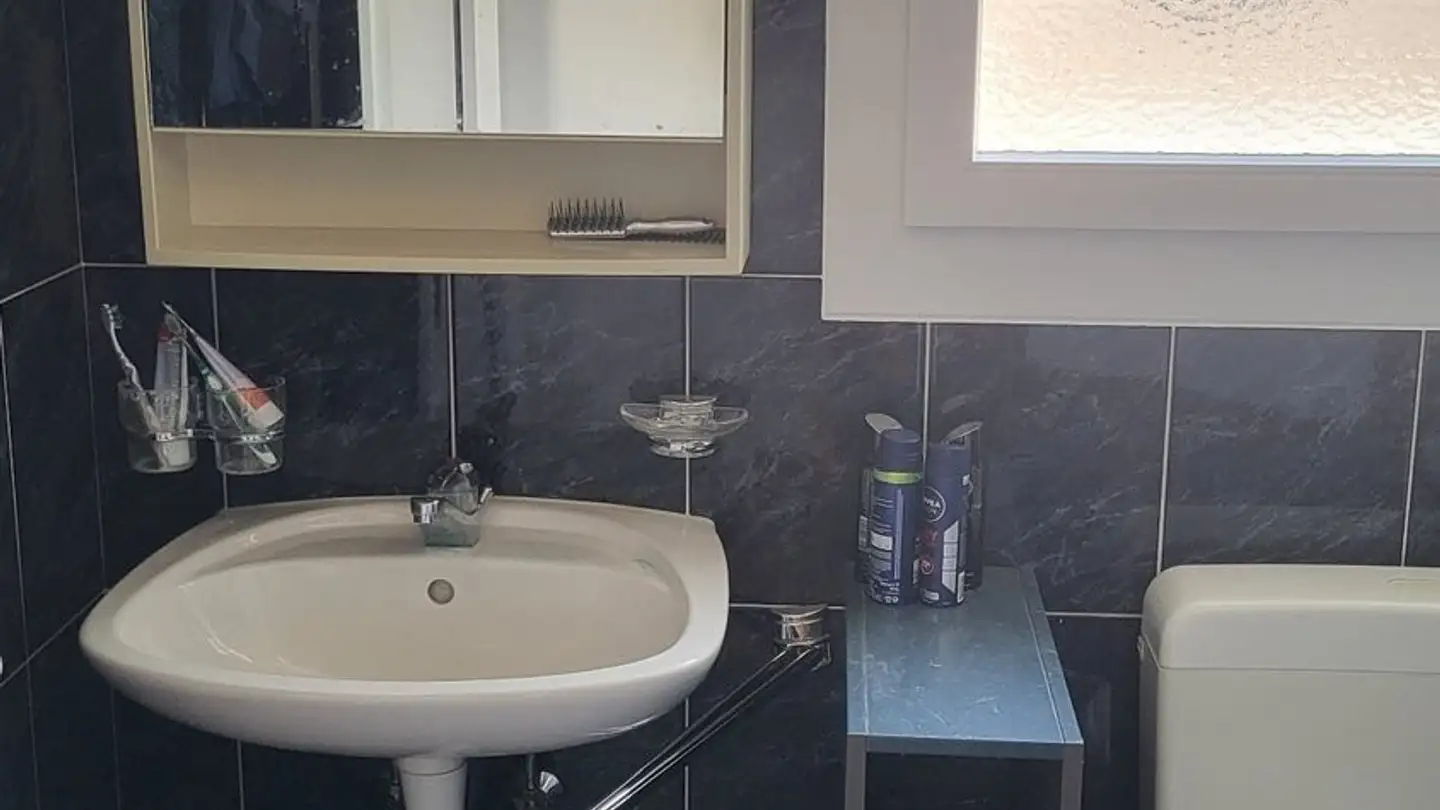 Appartement à louer - Grenzstrasse 36, 5525 Fischbach-Göslikon - Photo 3