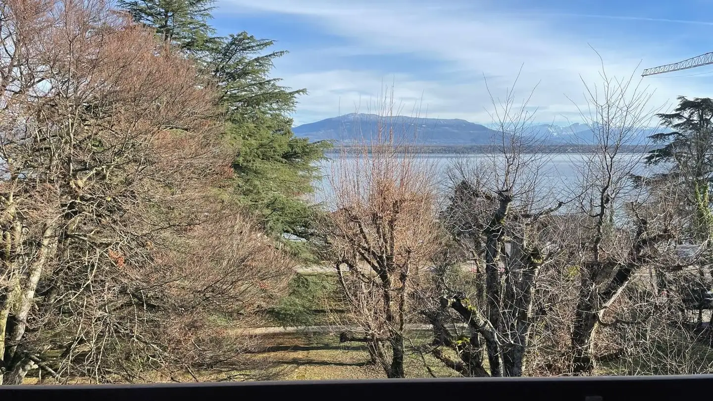 Attic flat for rent - Chemin Du Grand-Pré 3, 1296 Coppet