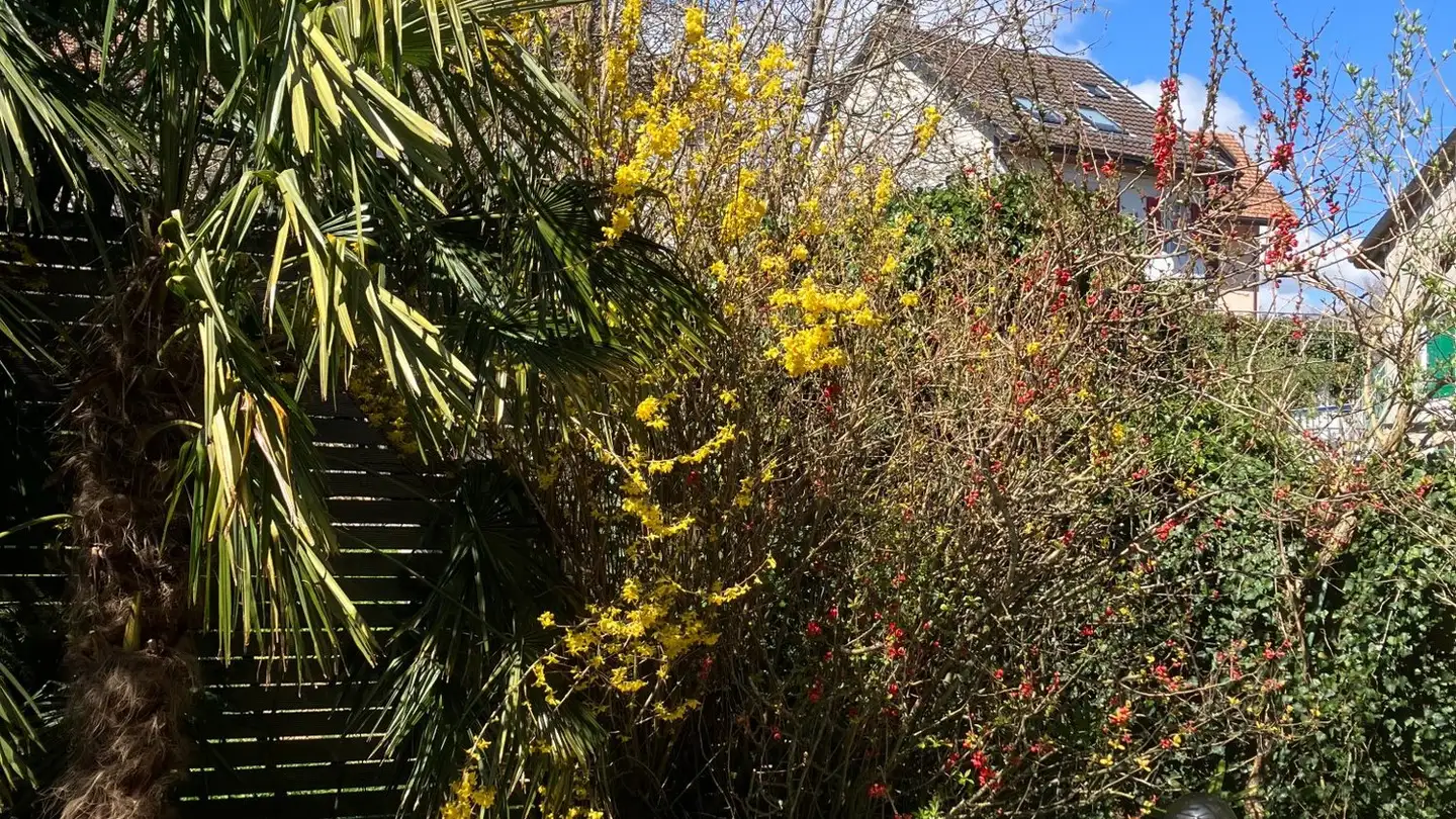 Appartement à louer - Route De Mont-La-Ville, 1148 La Praz - Photo 4