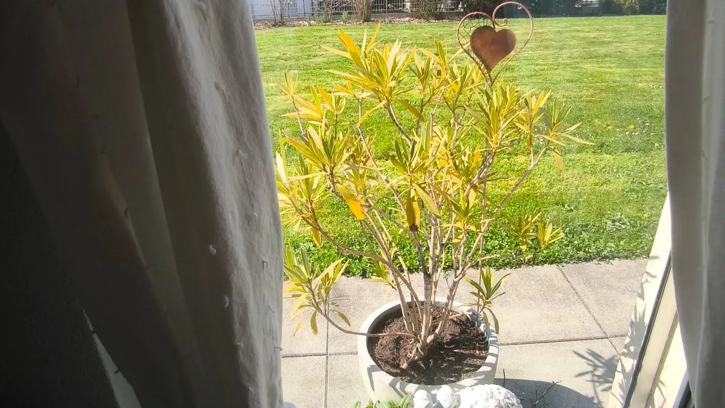 Single room for rent - 1023 Crissier