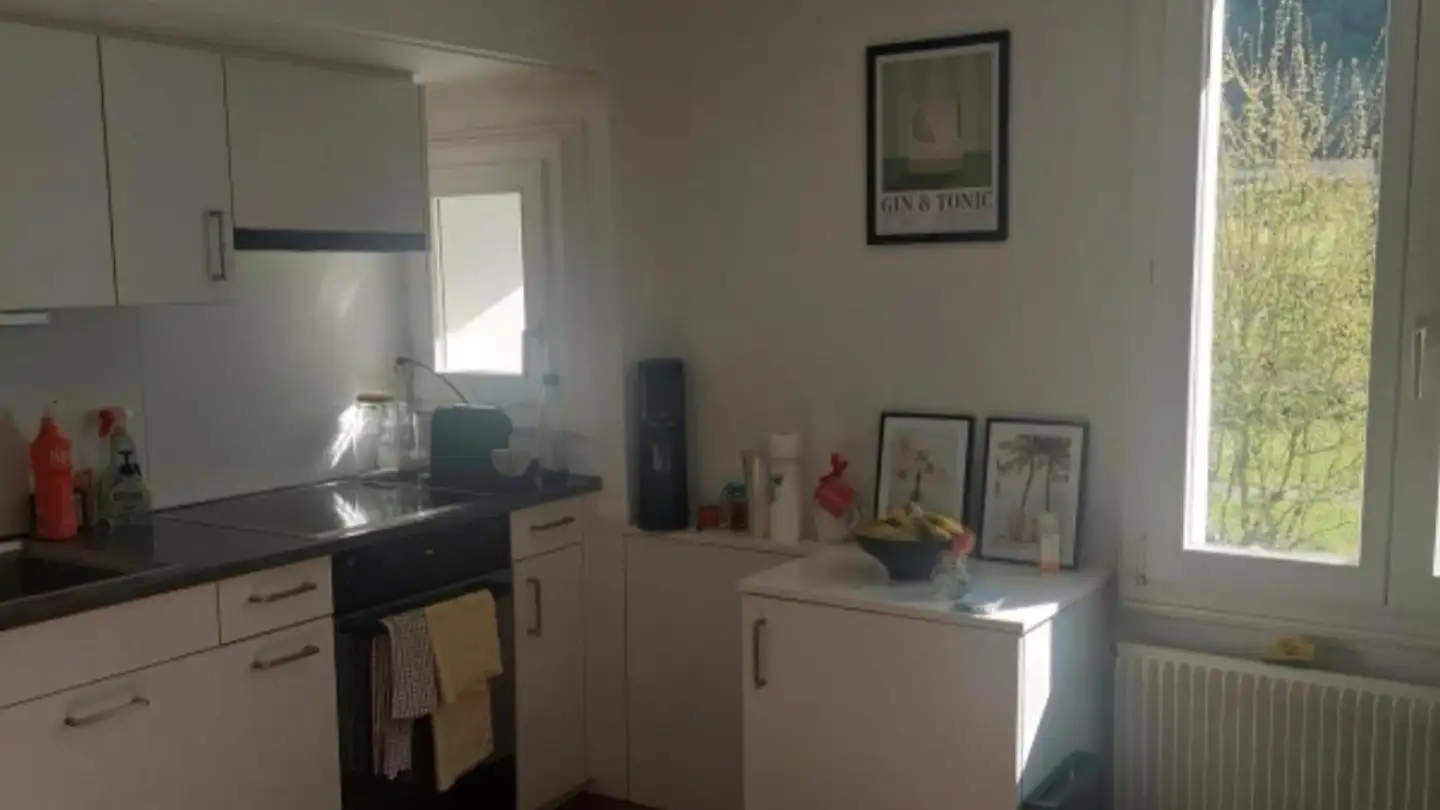 Single room for rent - 6386 Wolfenschiessen - Photo 3