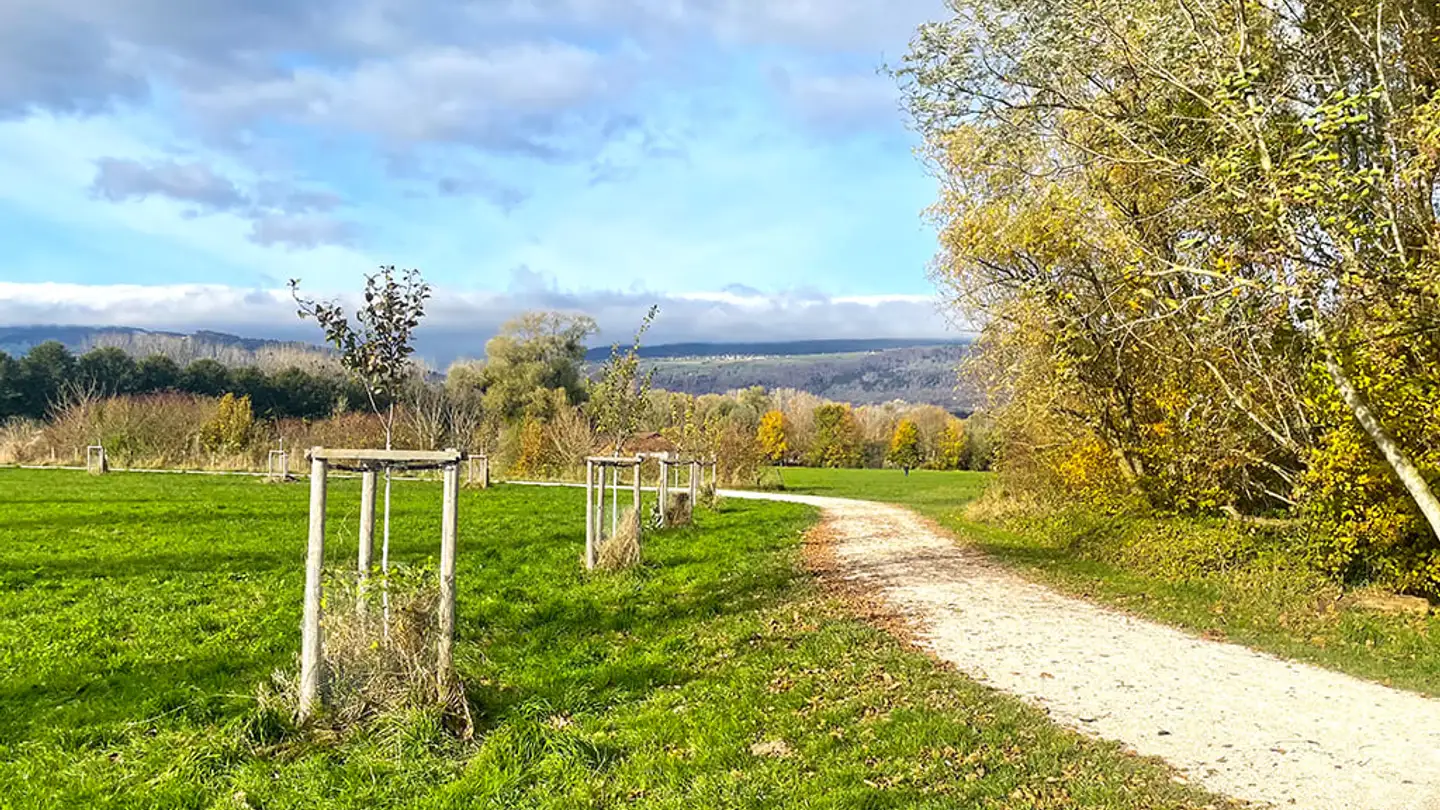 Casa a schiera in vendita - 1400 Yverdon-les-Bains - Photo 4